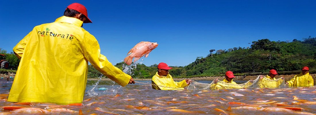 La riqueza del agua